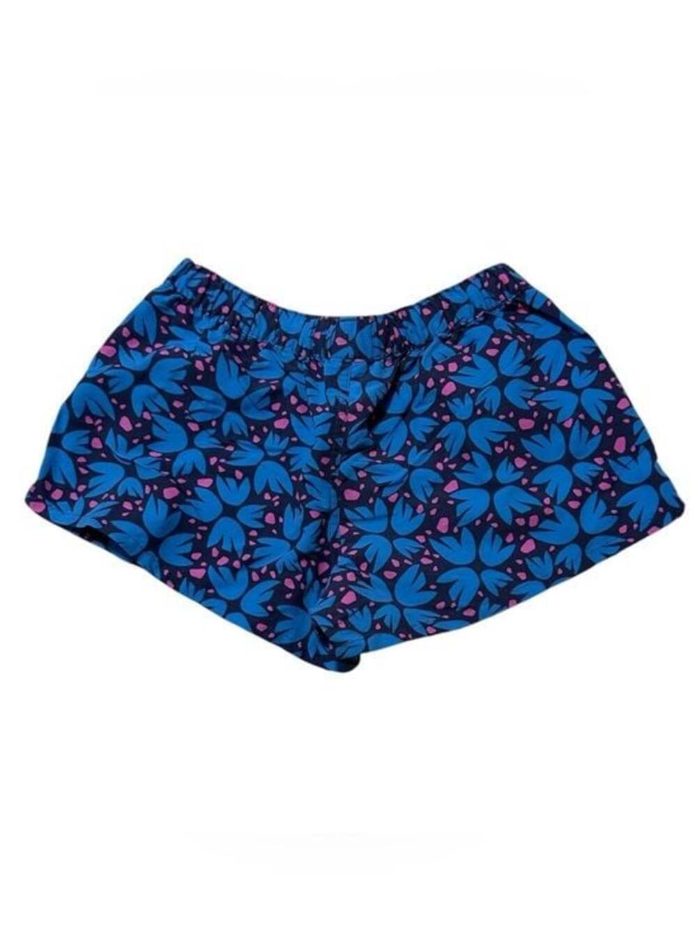 Patagonia Blue and Pink Floral Elastic Waist Shorts